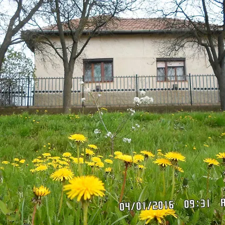 Homestay Nyolc Szilvafas Haz