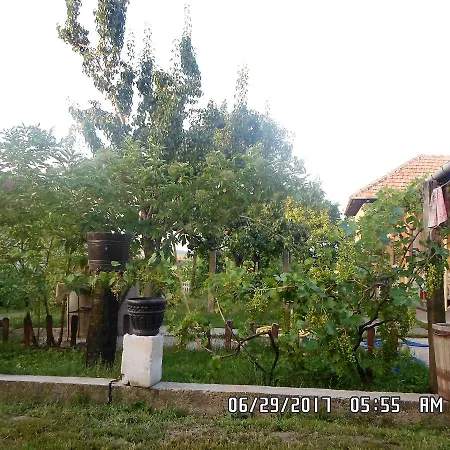 Nyolc Szilvafas Haz Homestay *