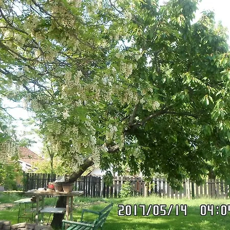 Nyolc Szilvafas Haz Homestay Tiszakurt